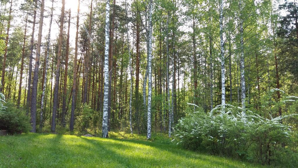 Marina Holiday Rauhan Village Apartments Imatra Luaran gambar