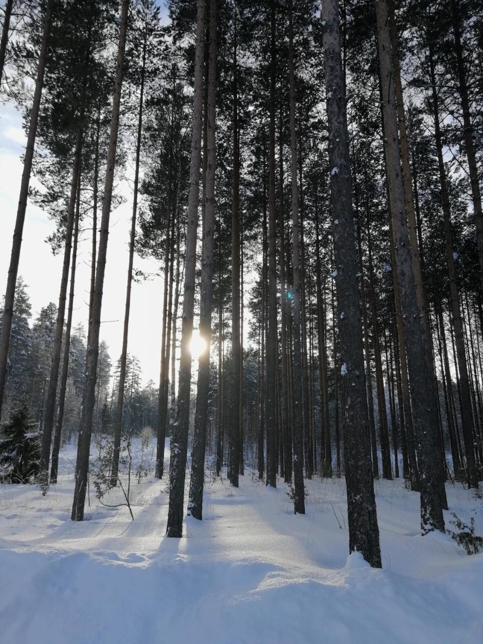 Marina Holiday Rauhan Village Apartments Imatra Luaran gambar