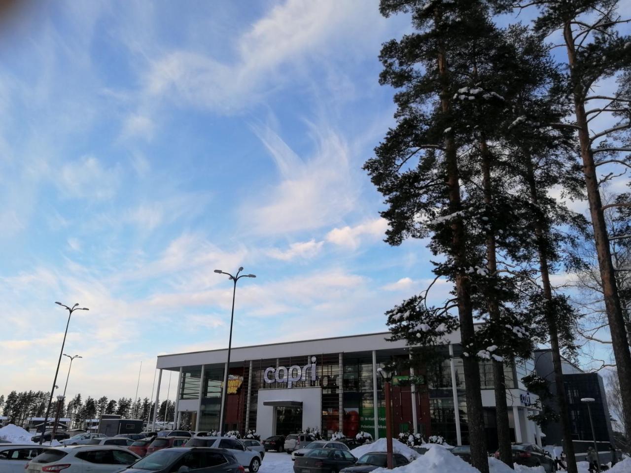 Marina Holiday Rauhan Village Apartments Imatra Luaran gambar